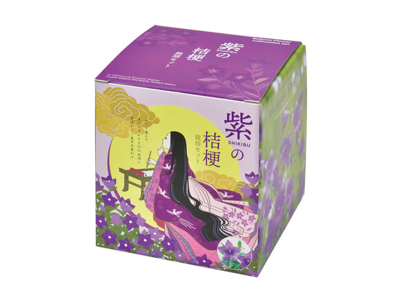 Seishin｜源氏物語｜桔梗盆栽(風鈴草)｜家居種植包｜日本