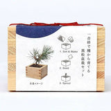 SEISHIN|日式柏樹盆景套裝|日本直送