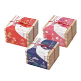 SEISHIN | 特色樹木品種‧小木盆系列 | 黑松 , 紅葉