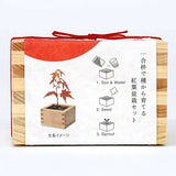 SEISHIN|日式柏樹盆景套裝|日本直送